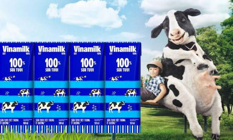 8 loại sữa tươi Vinamilk được yêu thích