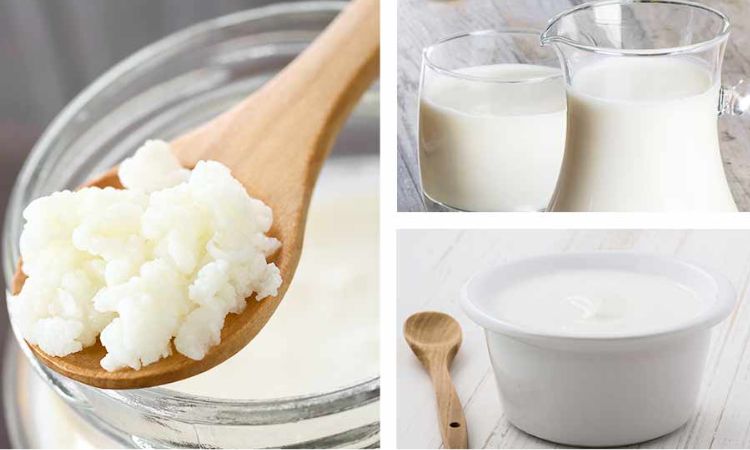 Cách Làm Sữa Chua Kefir Có Lợi Cho Hệ Tiêu Hoá