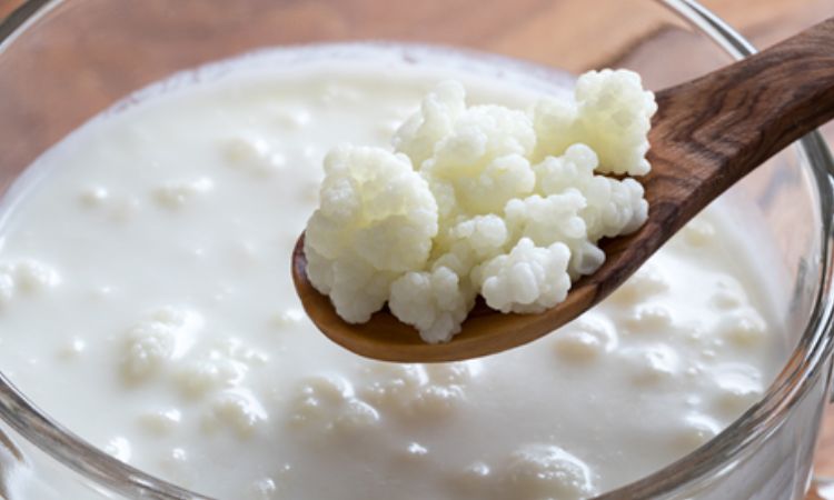 Cách làm sữa chua hy lạp từ nấm kefir