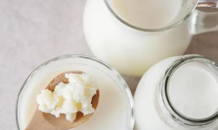 Lợi ích của nấm kefir